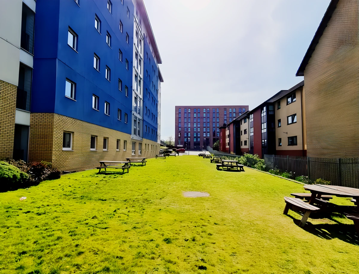 Outdoor Features