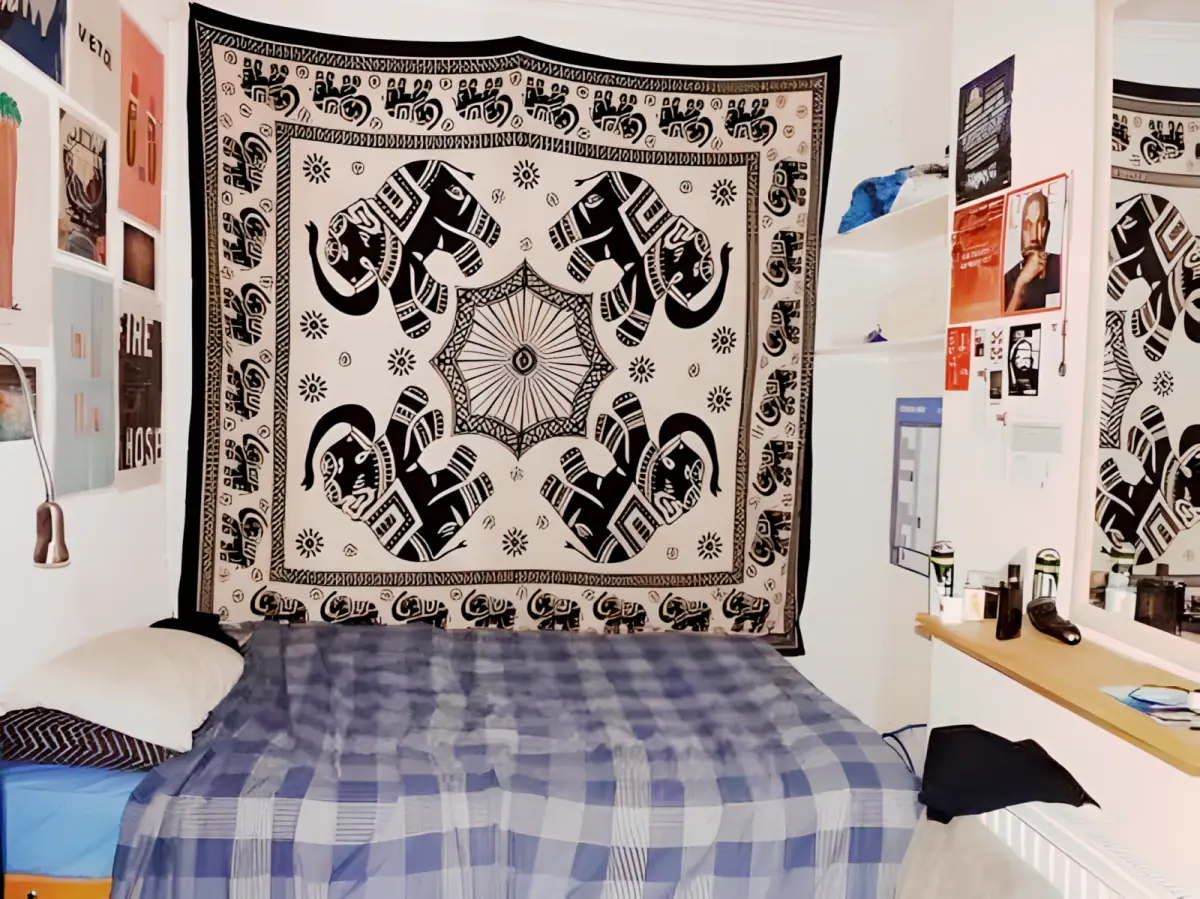 5 Bed, 1 Bath