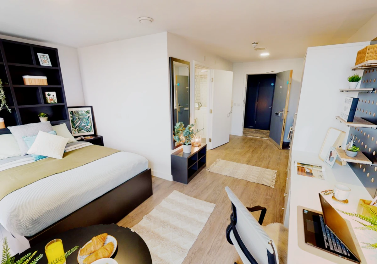 Platinum Studio Plus