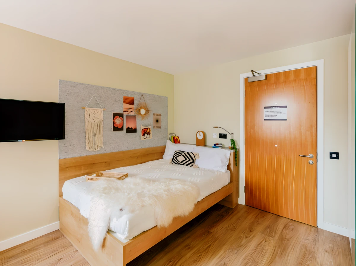 Extra Large Double Studio