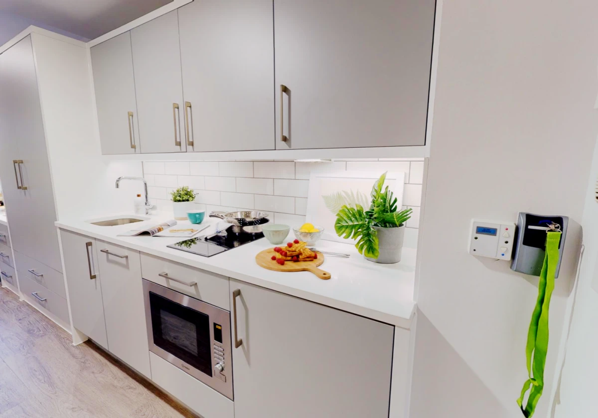 Platinum Studio Plus