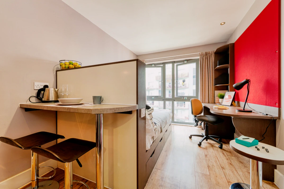 Lit Dashwood Studios