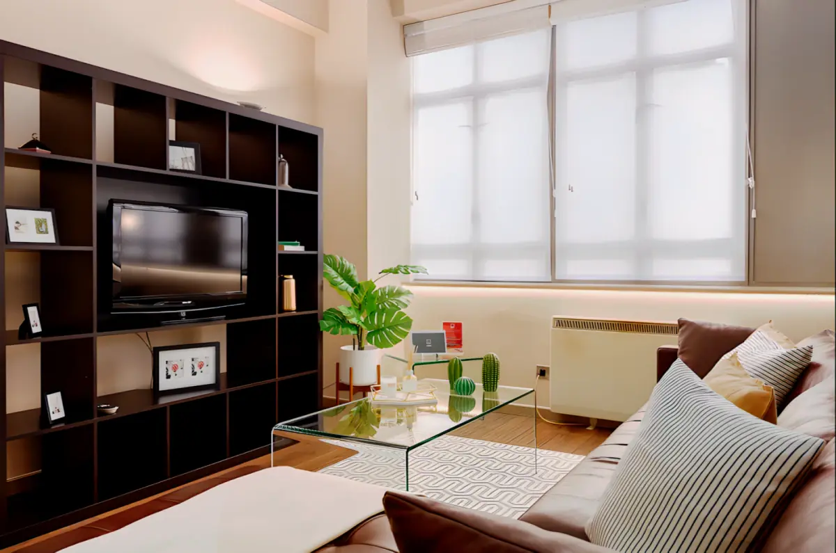 1 Bedroom Apartment