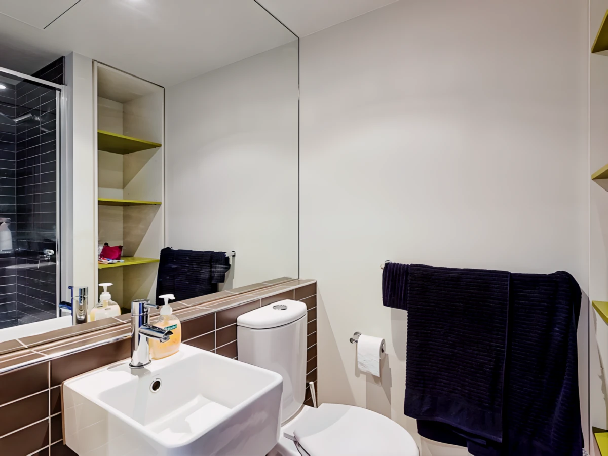 Student Living - Vivida