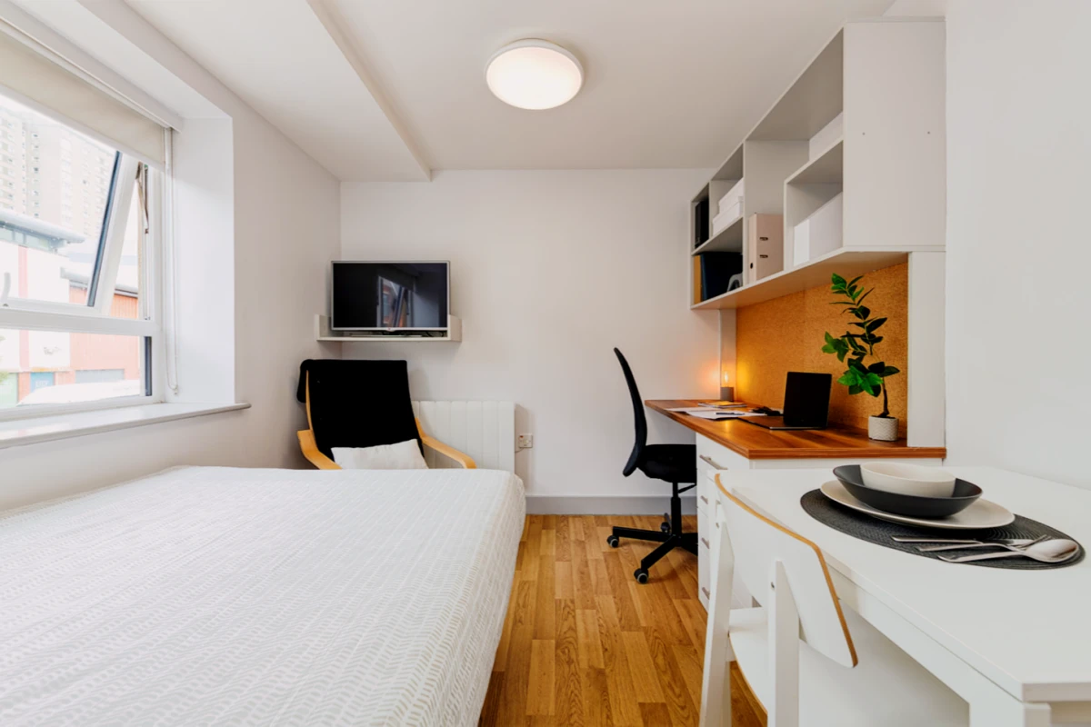 Premium Studio