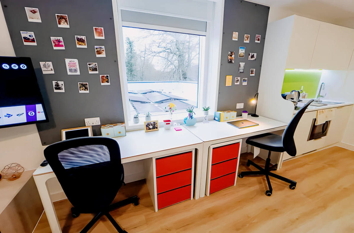 Luxury VIP Studio