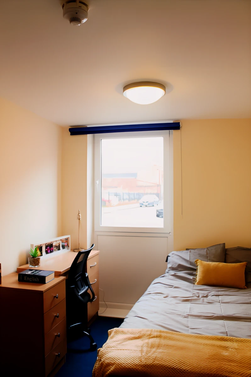 Six Bed Apartment