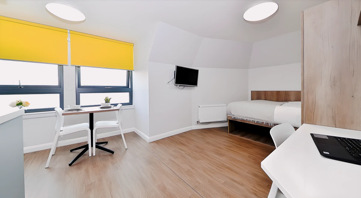 Gold Studio