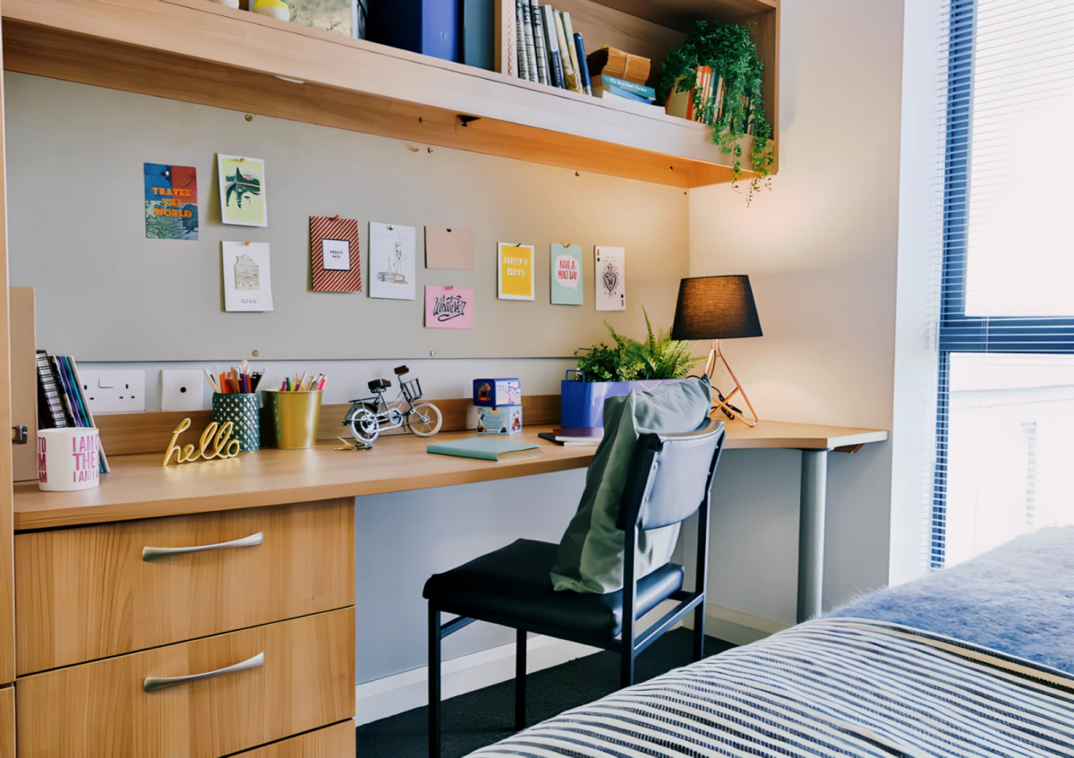 Classic Shared Apartment - Single Bed