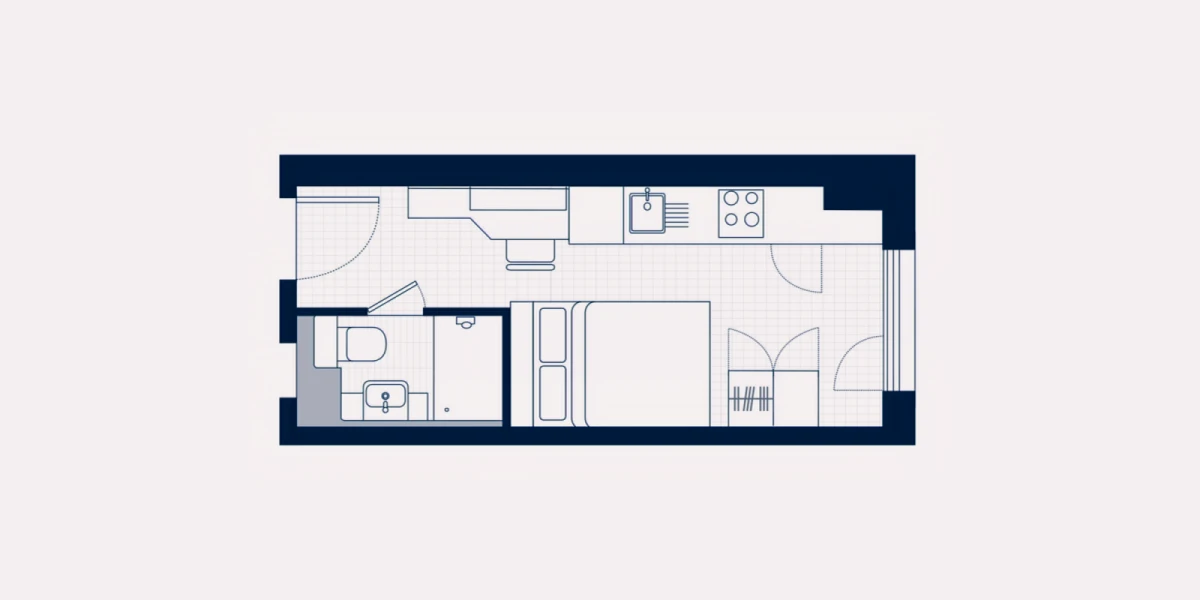 Aster House
