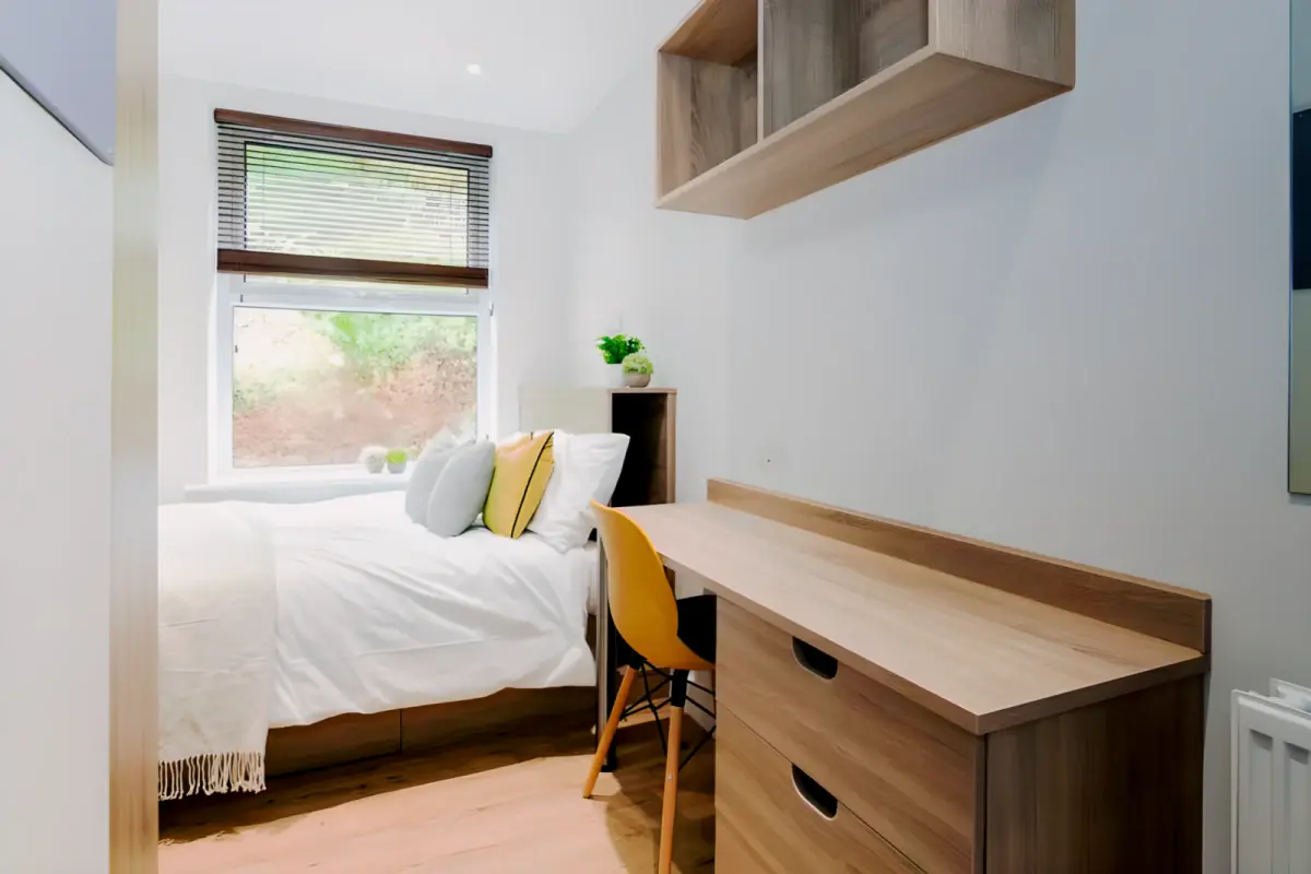 7 Beds 3 baths