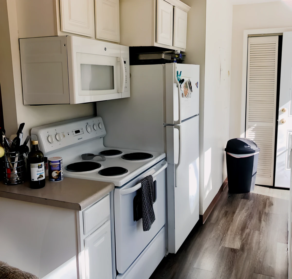 DTN Houses - MSU West