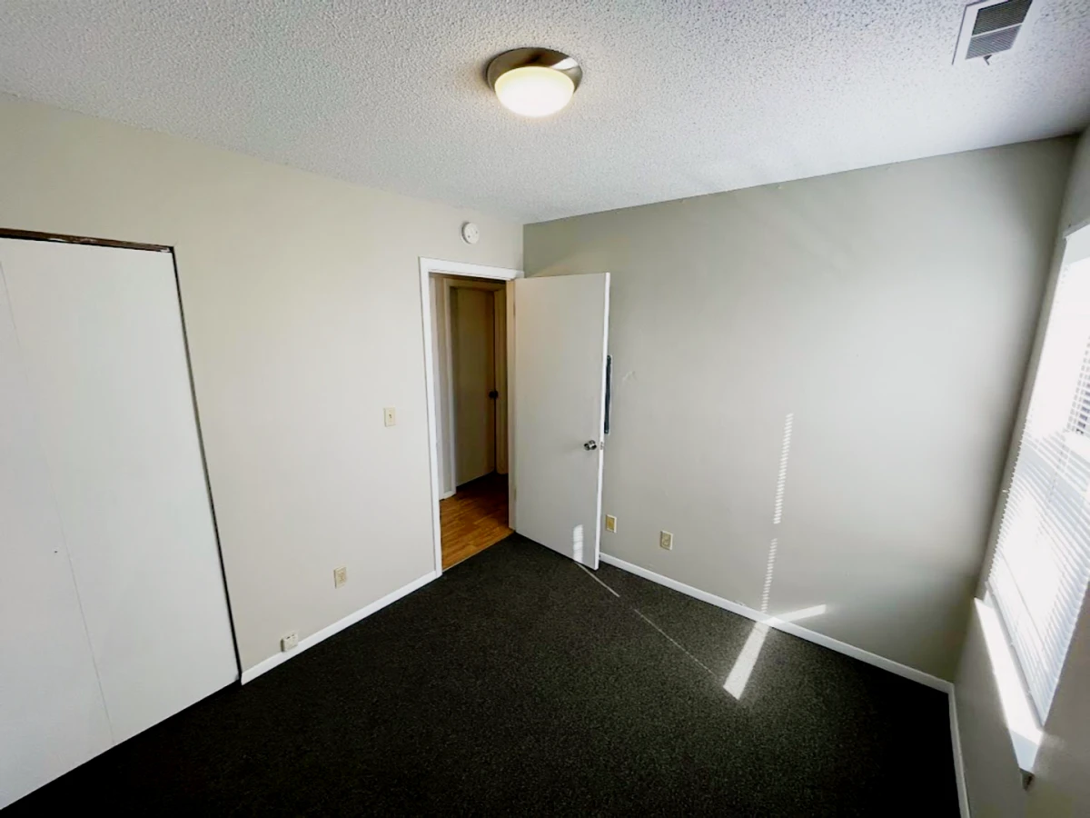 813 W Springfield, Urbana, IL 61801
