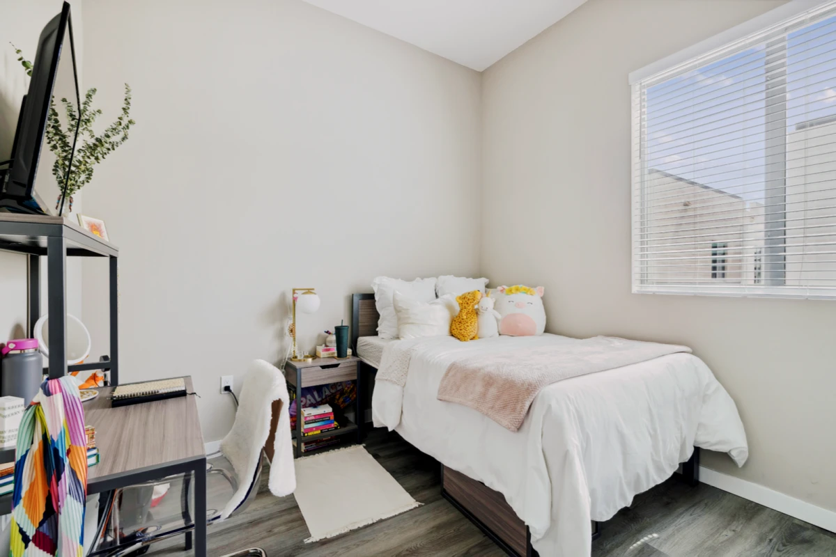3 Rooms view 2