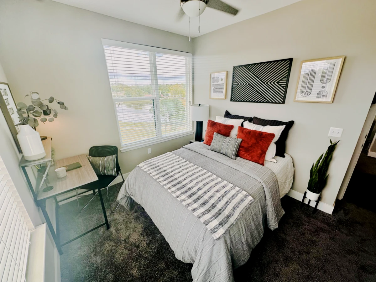 5 Rooms view 1