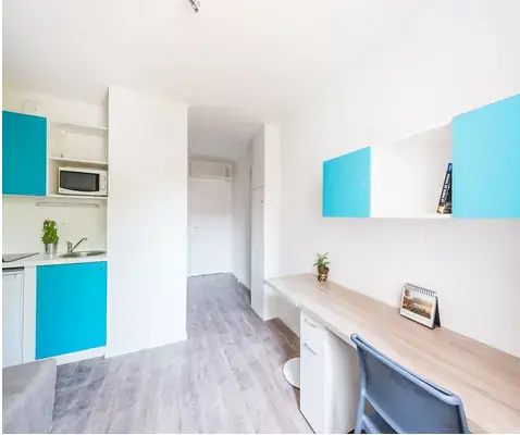 Lyon 7eme Cardinalcampus-Estudis 7