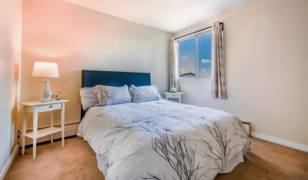 2 Rooms view 1