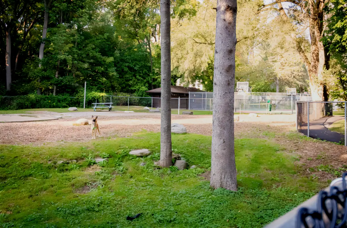Outdoor Features