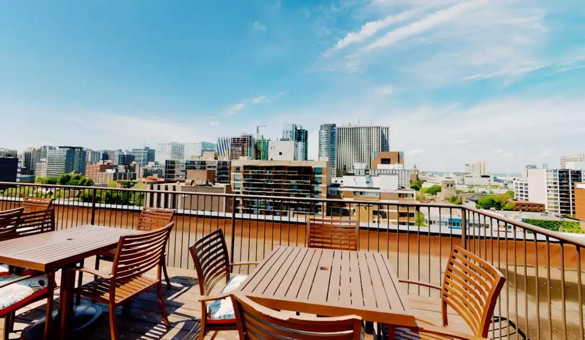 360 view