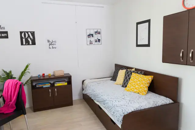 Smart studio close to ENS Lyon