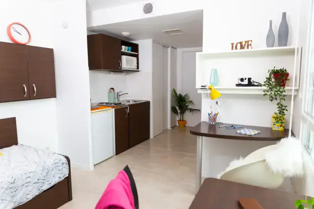 Smart studio close to ENS Lyon