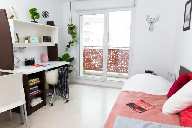 Smart studio close to ENS Lyon