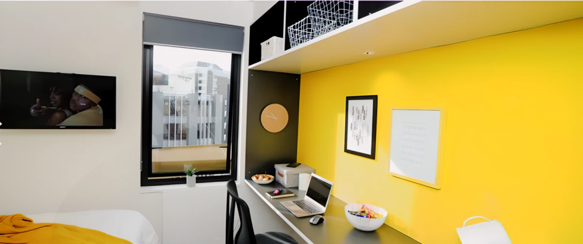 Premium Studio