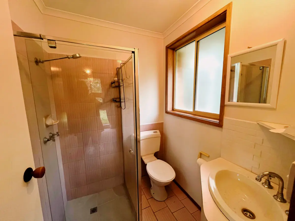 3 Bed, 2 Bath