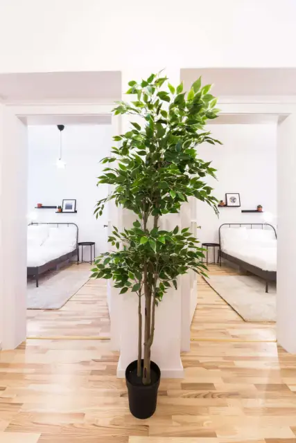 Zimmer in der Wedekindstrasse