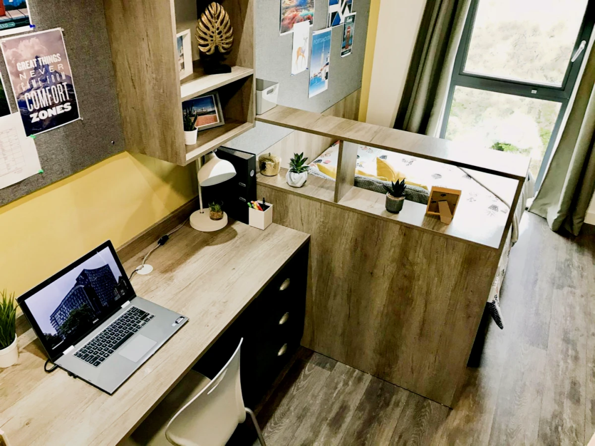 Standard Studio