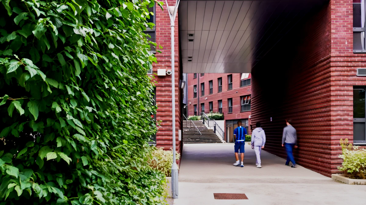 Outdoor Features