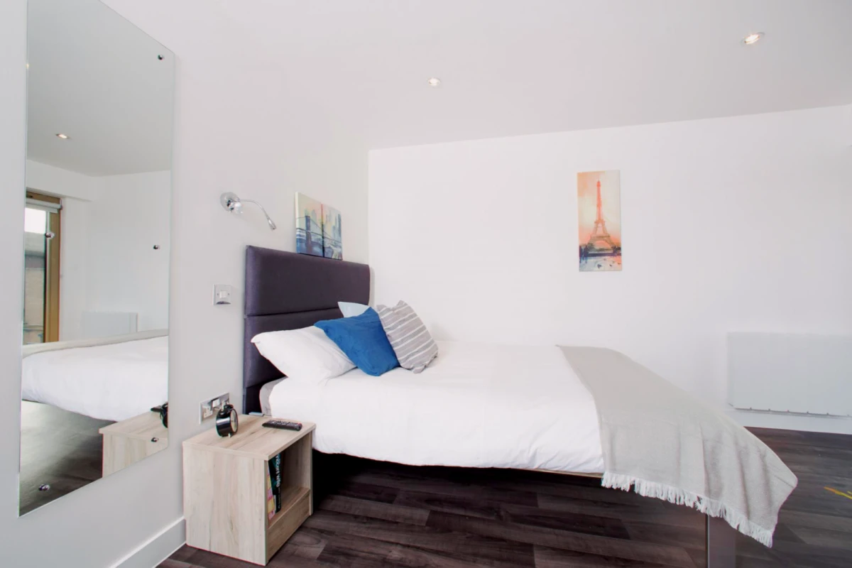 Premium Plus Studio