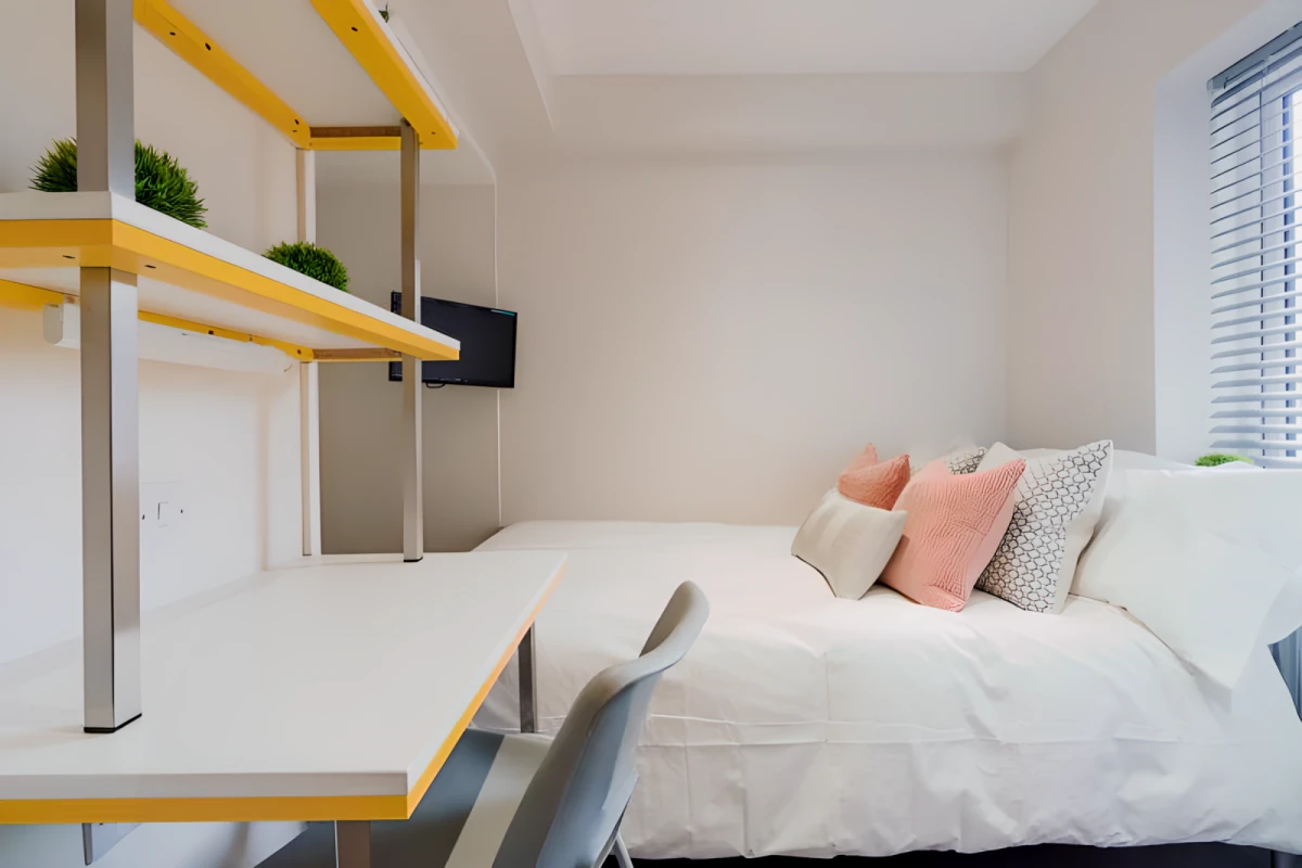 3 Bed 1 Bath