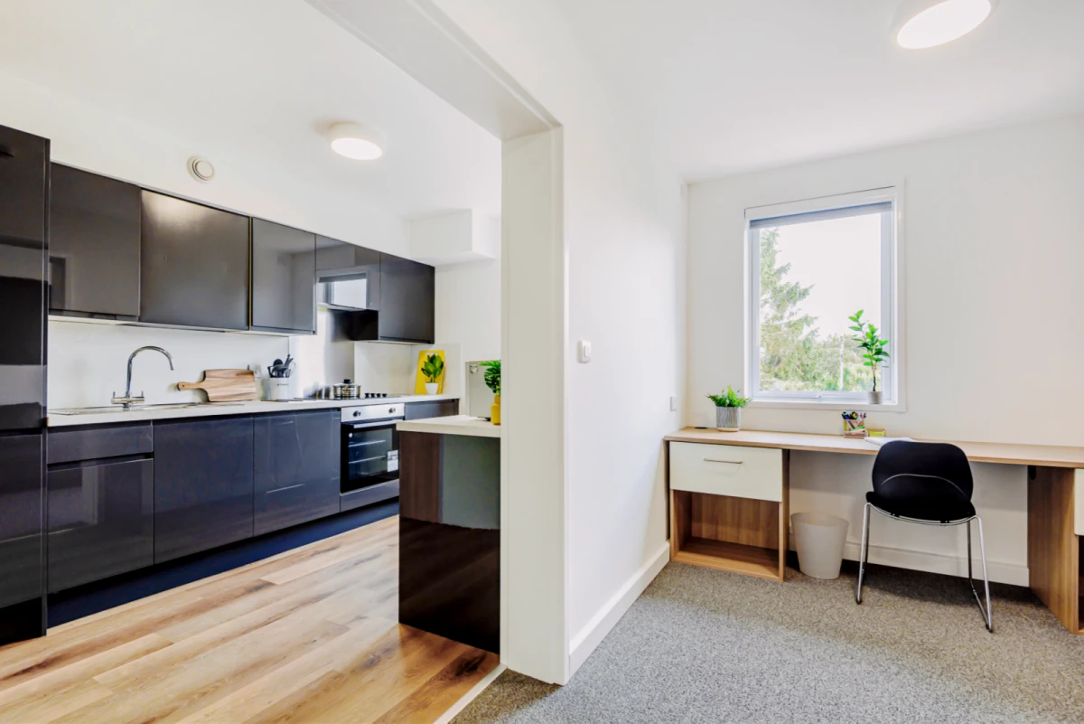 Studio Rooms view 1