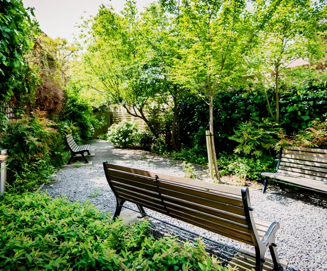 Outdoor Features