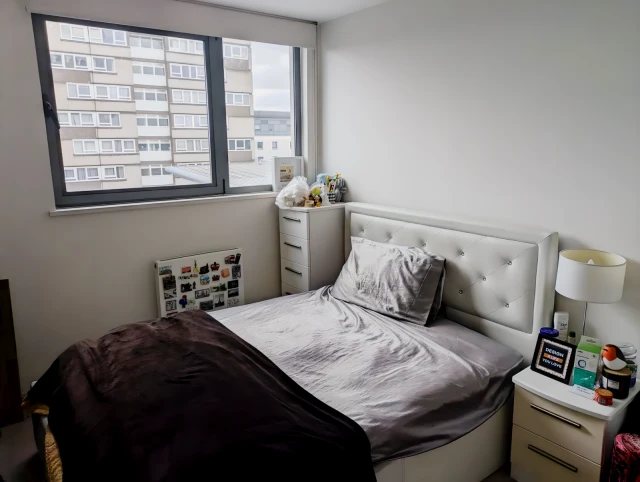 1 Bedroom 1 Bathroom