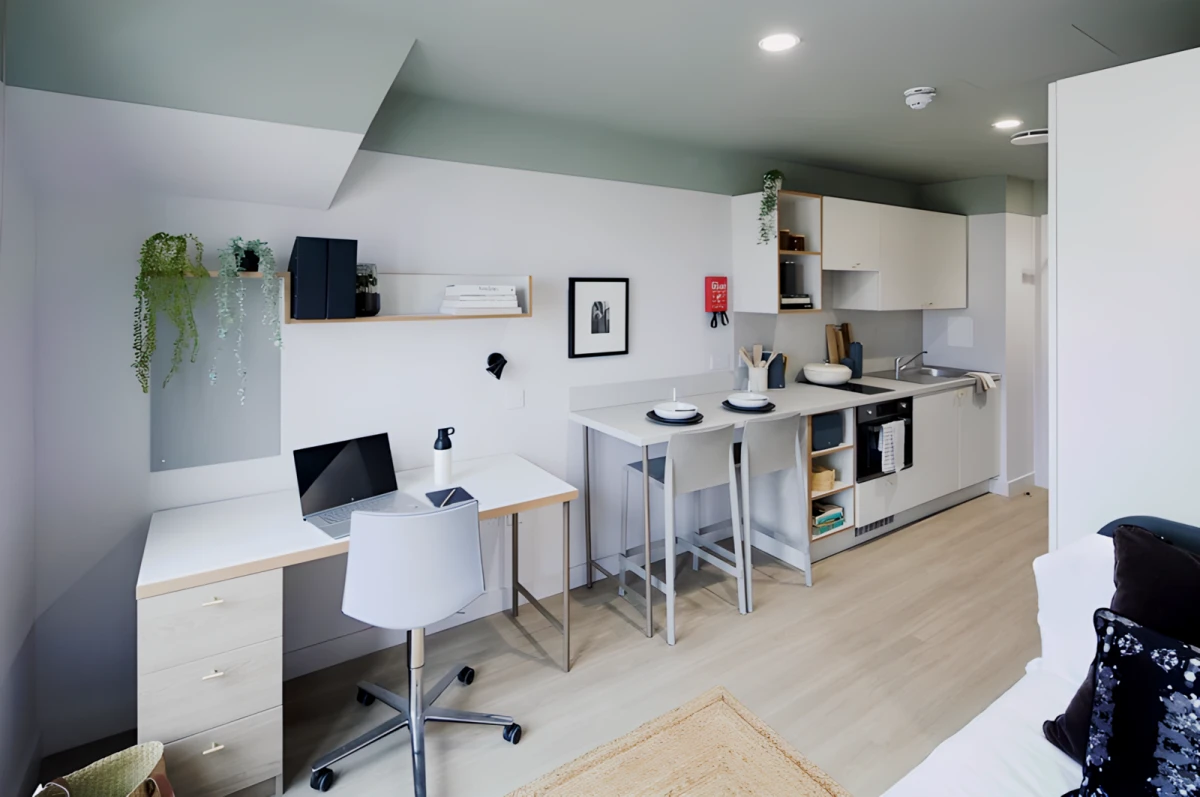 Silver Studio