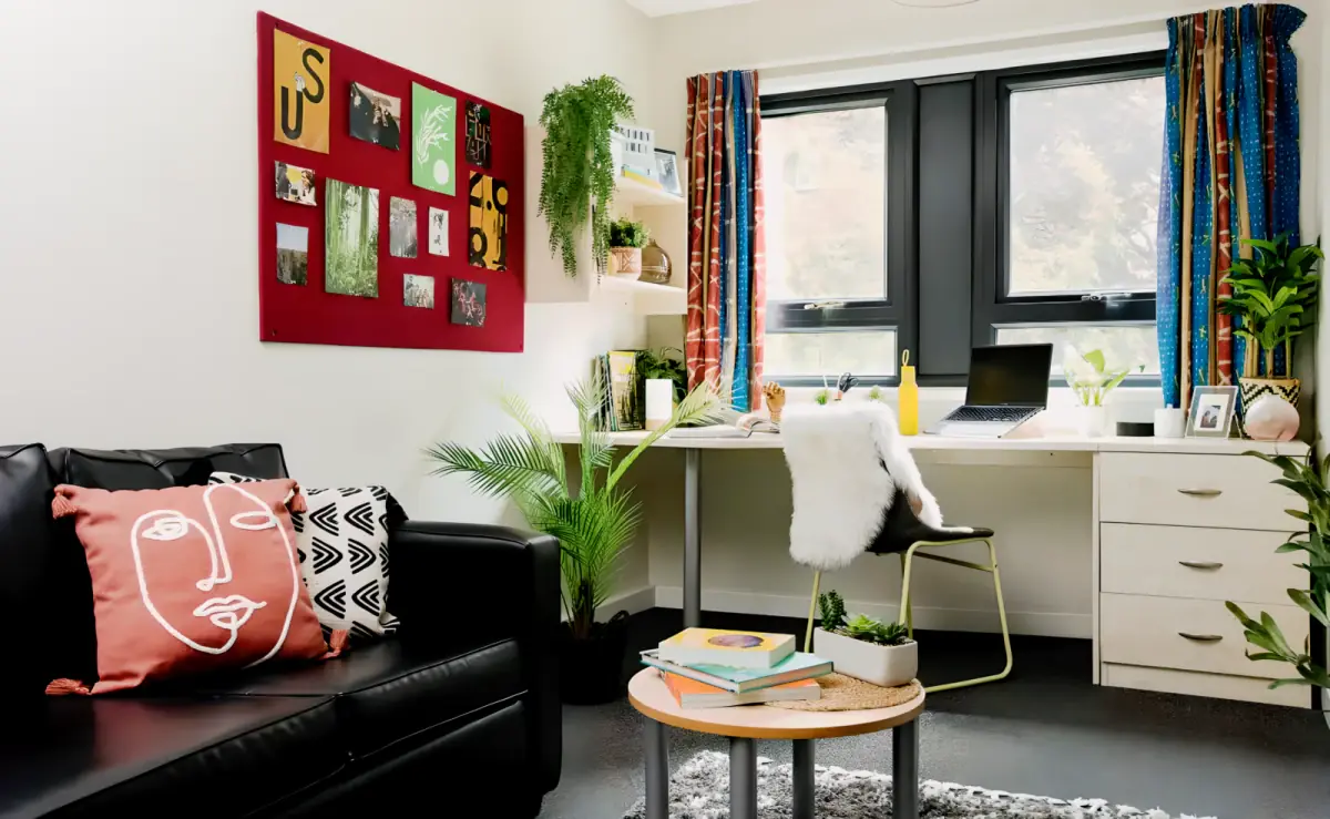 Studio Rooms view 2