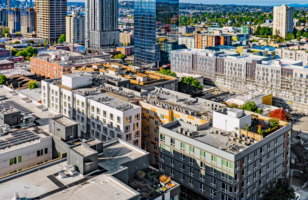 Theory U District