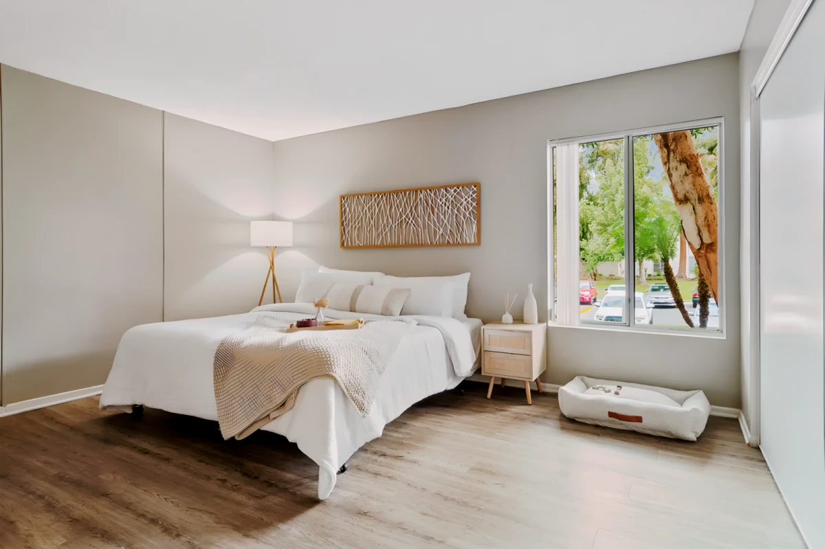 2 Rooms view 2