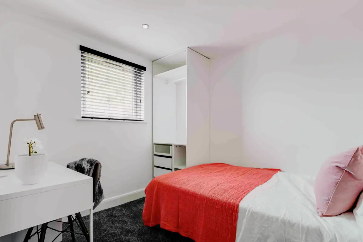 6 Beds 5 Baths