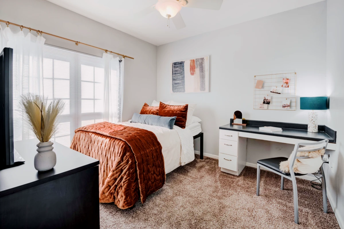 3 Rooms view 1