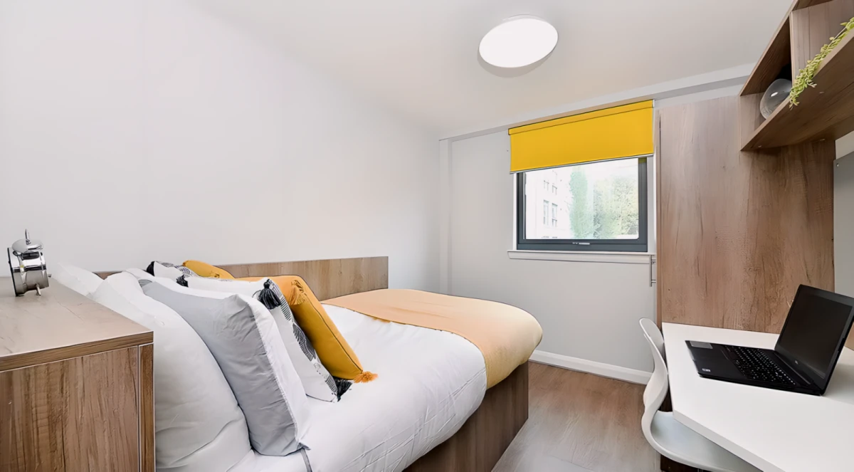 Attic En-Suite