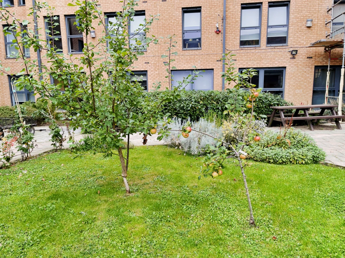 Outdoor Features