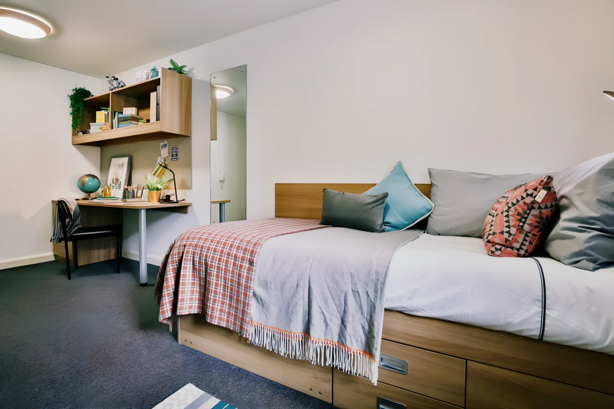 Classic Bigger Shared Apartment