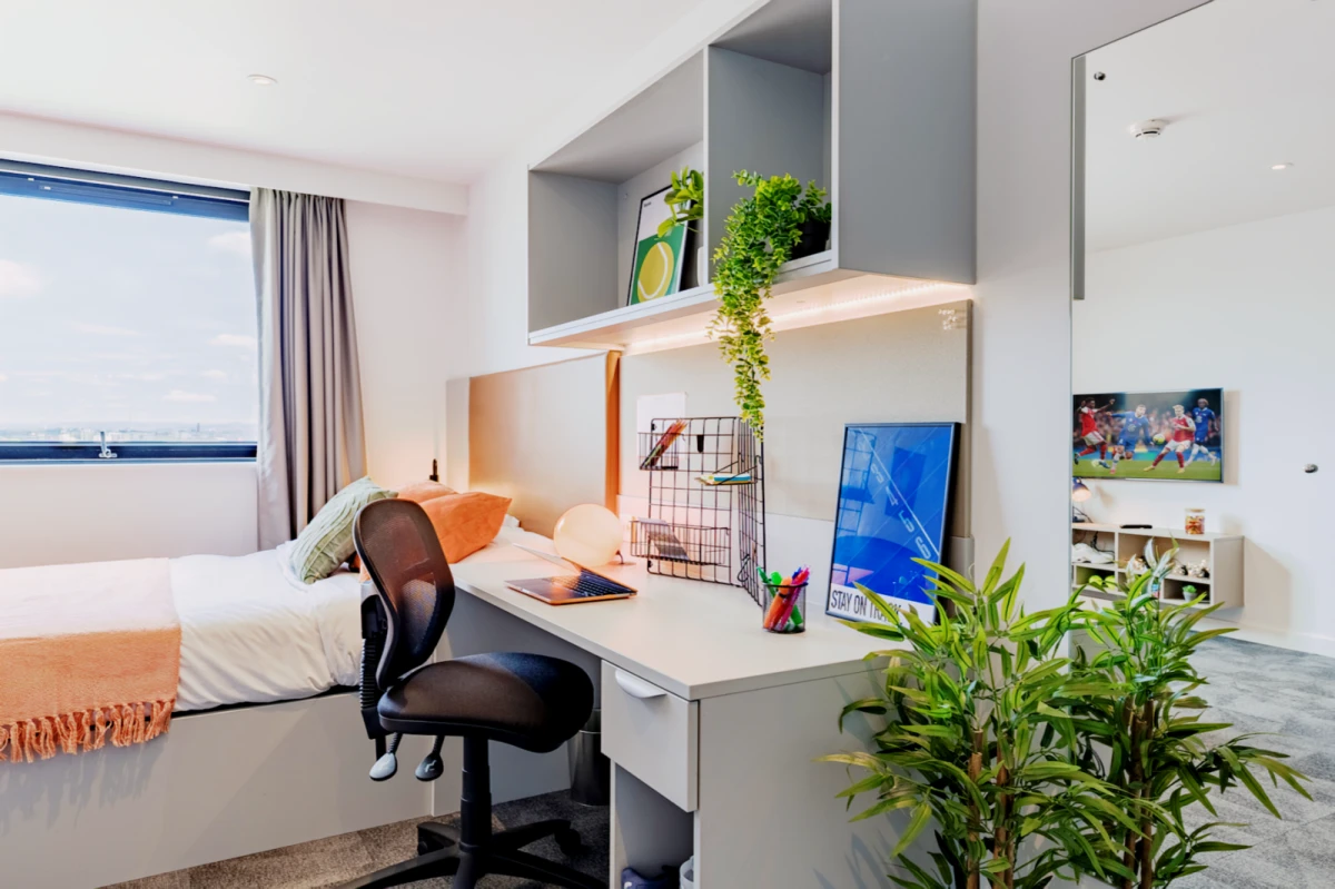 Apartment Rooms view 4