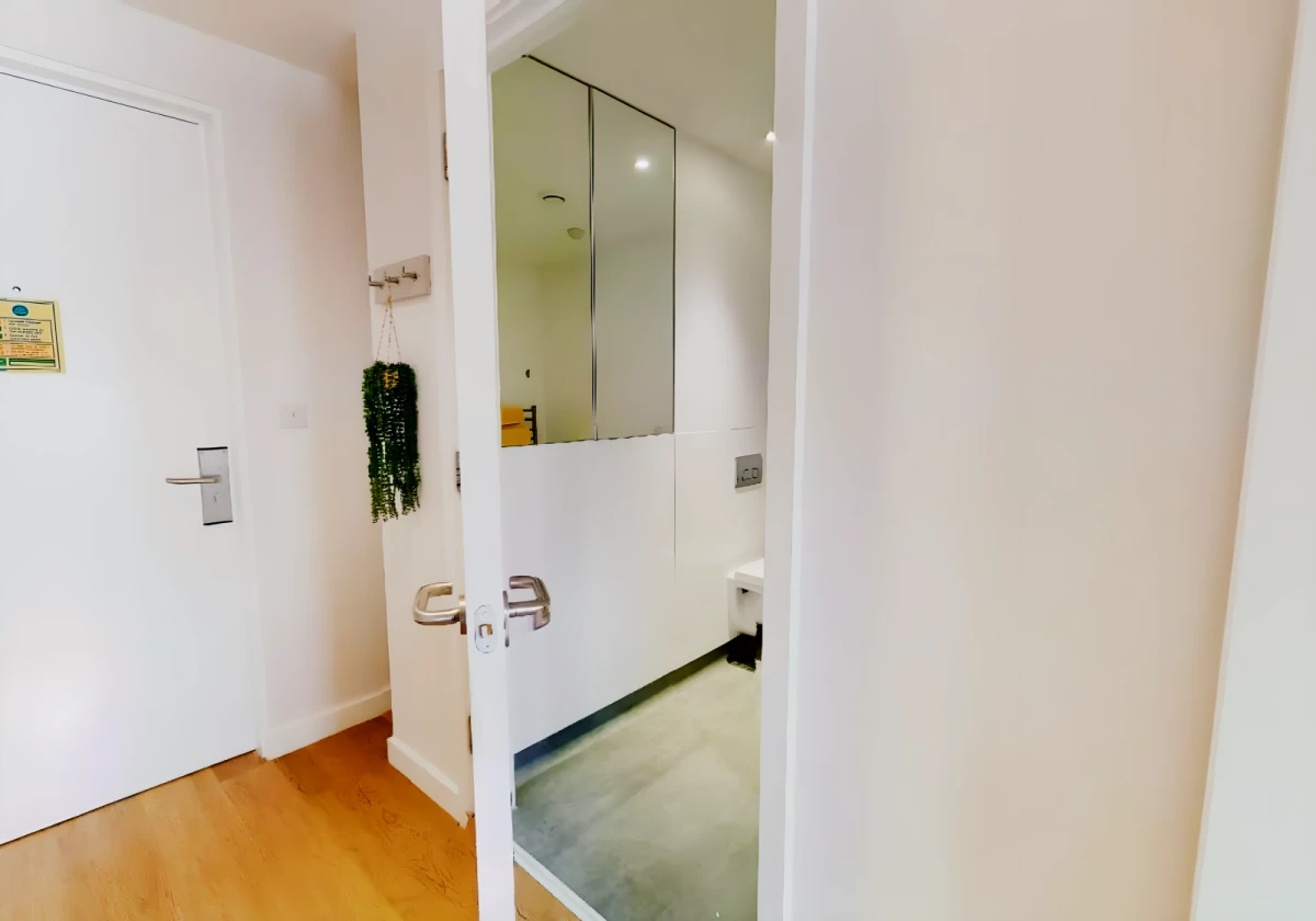 Platinum Studio Plus