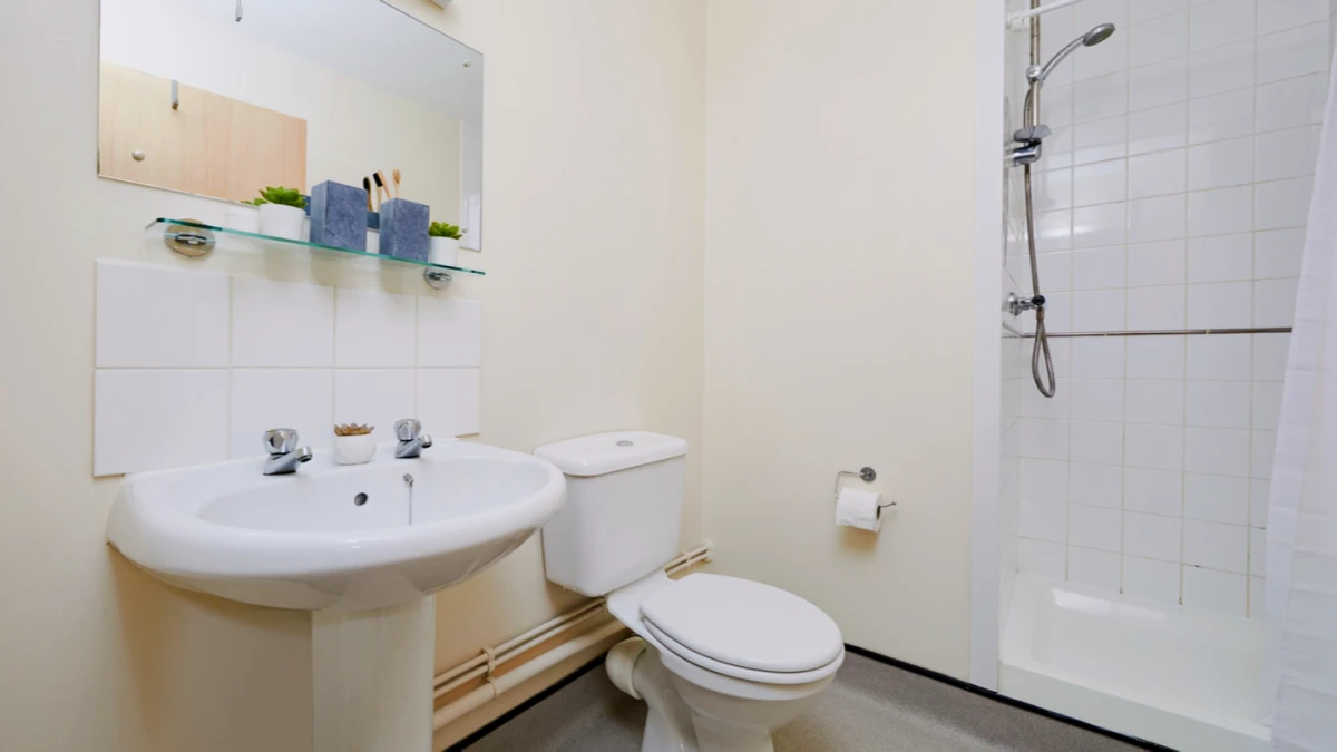 King Edward Studios