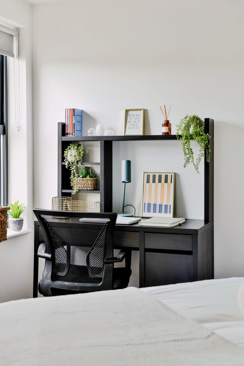Classic Shared Apartment