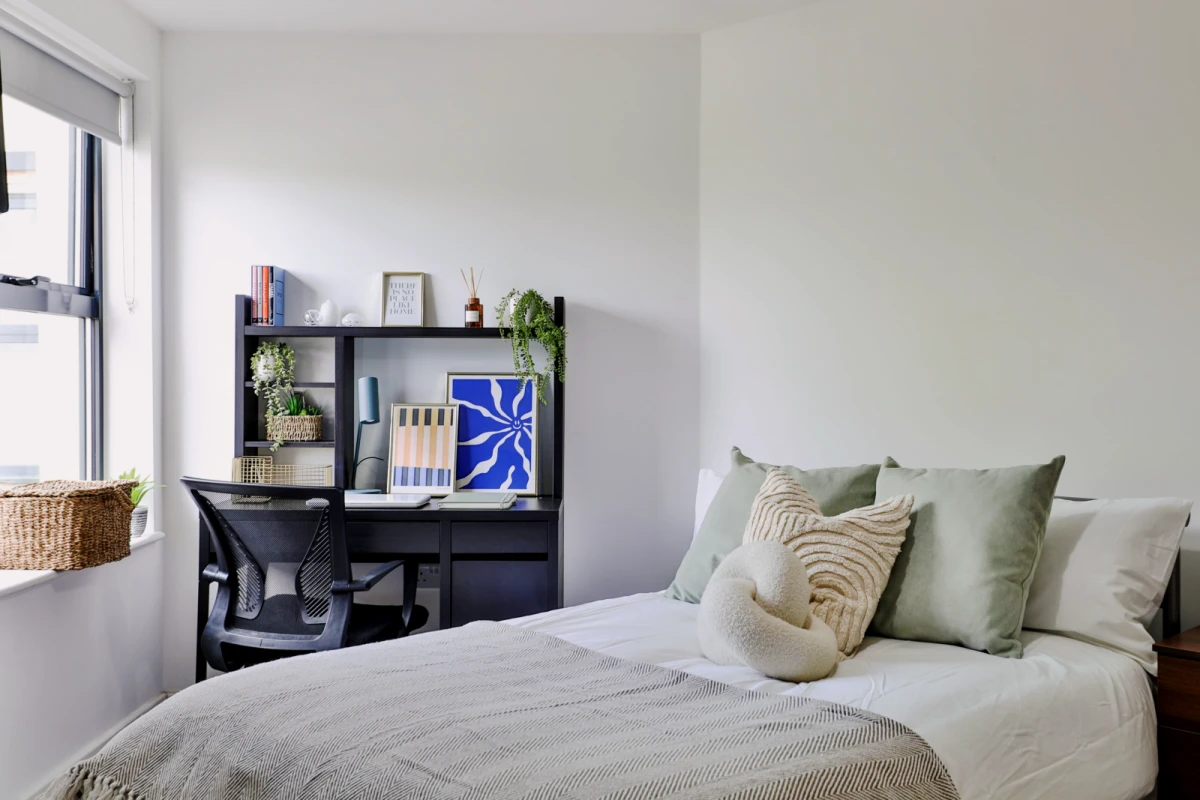 Classic Shared Apartment